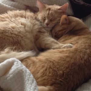 Meet your Posher, Tracy